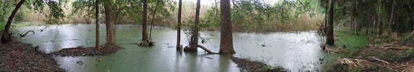Laguna de Yokop, en Huaymax, Quintana Roo