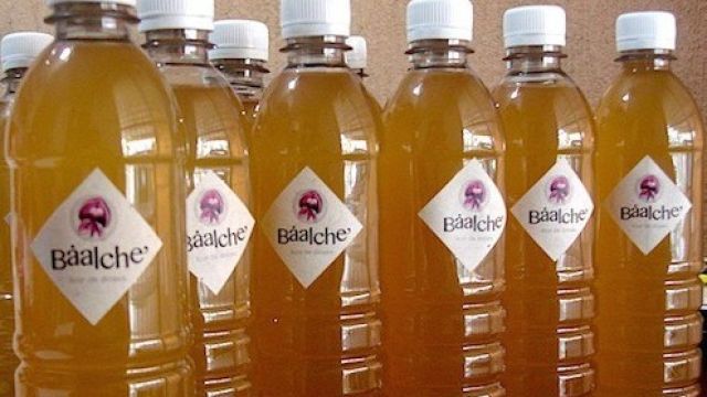 balche1-1.jpg