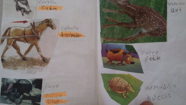 venado.jpg