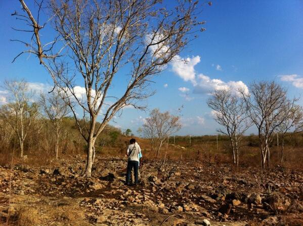 Campos mayas castigados por la sequía.